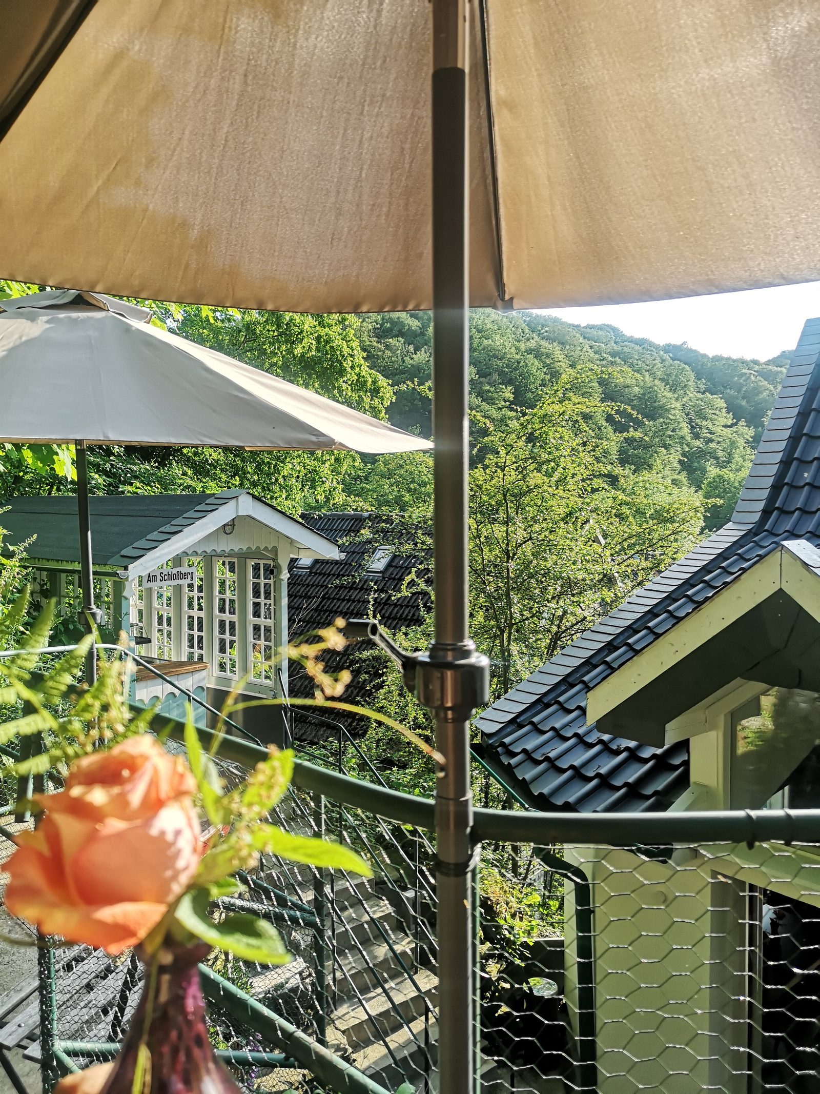 Terrasse mit Blick ins Grüne