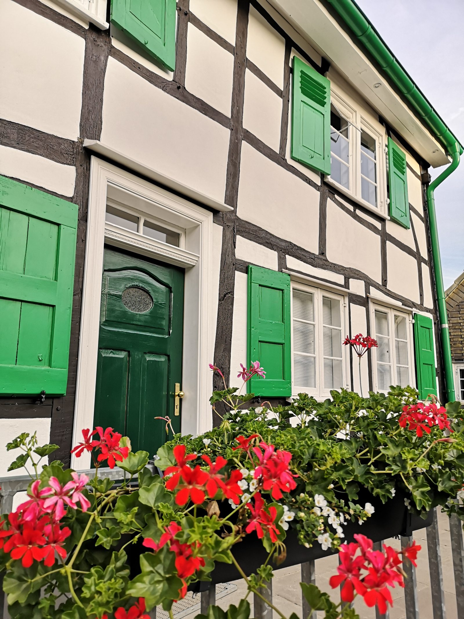 Grüne Haustür und Geranien